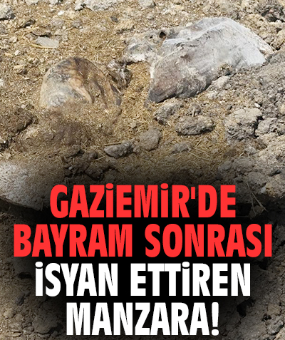 Gaziemir'de bayram sonrası isyan ettiren manzara!