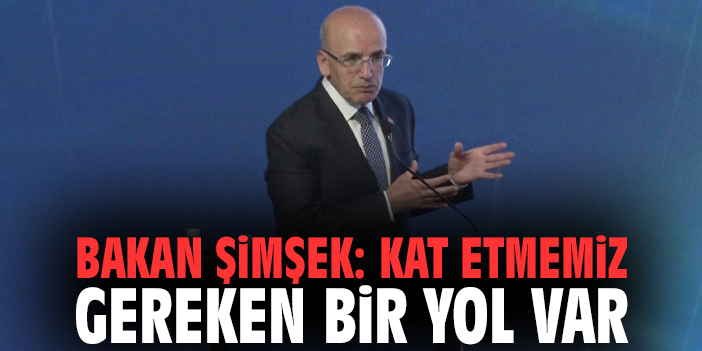 Bakan Şimşek: Kat etmemiz gereken bir yol var