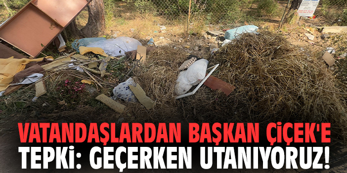 Vatandaşlardan Başkan Çiçek'e tepki: Geçerken utanıyoruz!