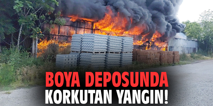 Boya deposunda korkutan yangın!
