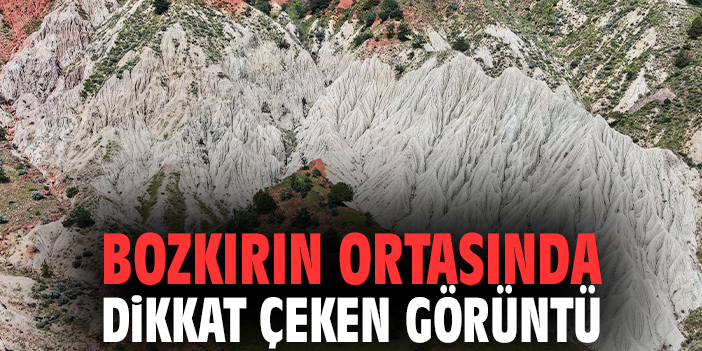 Bozkırın ortasında dikkat çeken görüntü