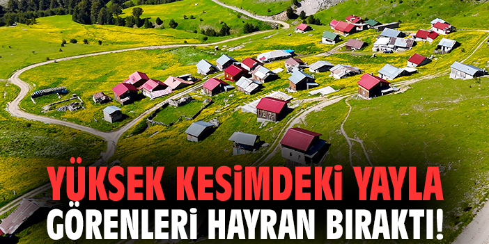 Yüksek kesimdeki yayla görenleri hayran bıraktı!