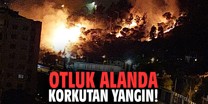 Otluk alanda korkutan yangın!