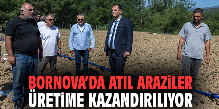 Bornova’da atıl araziler üretime kazandırılıyor