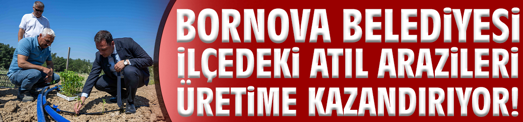 Bornova’da atıl araziler üretime kazandırılıyor
