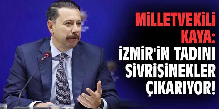 Milletvekili Kaya: İzmir'in tadını sivrisinekler çıkarıyor!