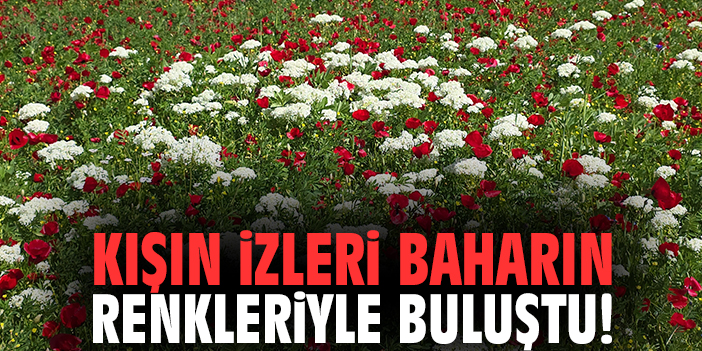 Kışın izleri baharın renkleriyle buluştu!