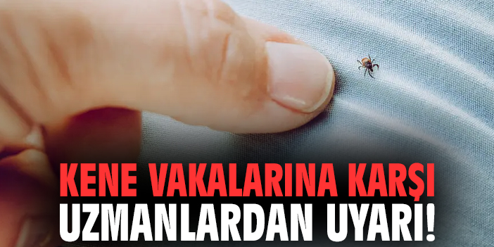 Kene vakalarına karşı uzmanlardan uyarı!