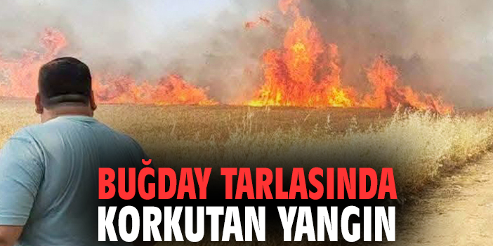 Buğday tarlasında korkutan yangın