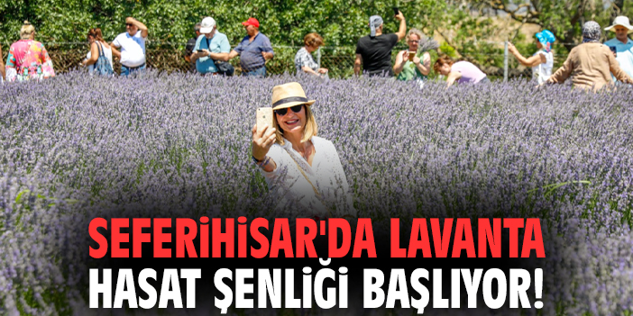 Seferihisar'da Lavanta Hasat Şenliği için geri sayım başladı!
