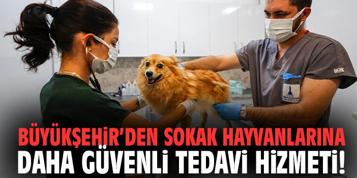 Büyükşehir’den sokak hayvanlarına daha güvenli tedavi hizmeti