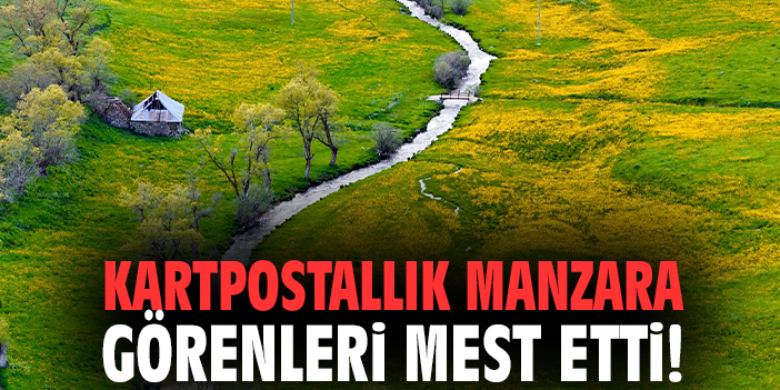 Kartpostallık manzara görenleri mest etti!