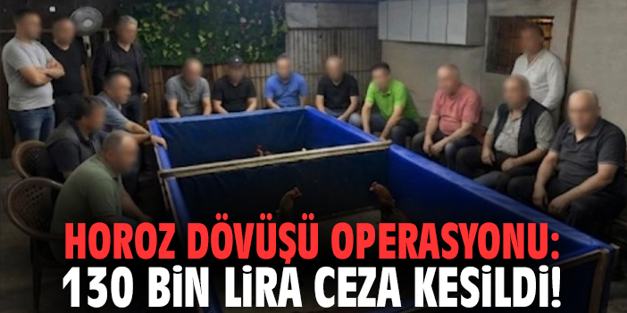 Horoz dövüşü operasyonu: 130 bin lira ceza kesildi!