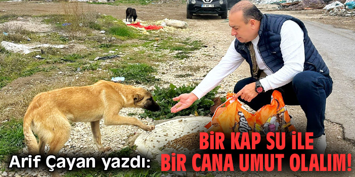 Bir kap su ile bir cana umut olalım!