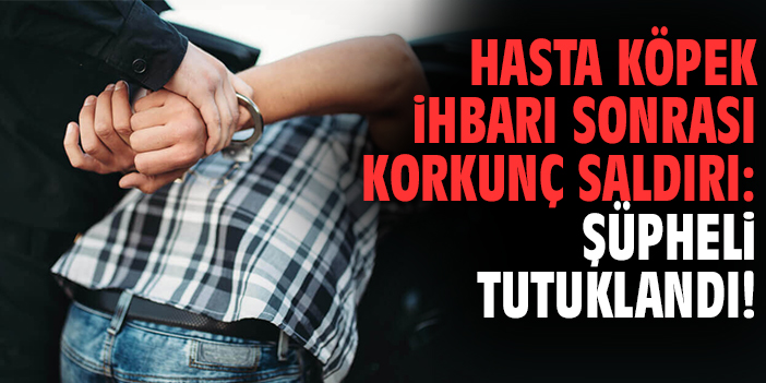 Hasta köpek ihbarı sonrası korkunç saldırı: Şüpheli tutuklandı!