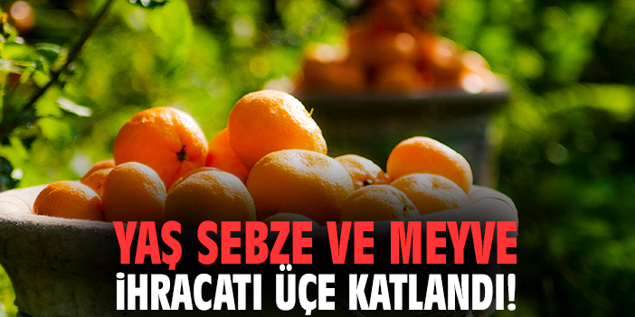 Yaş sebze ve meyve ihracatı üçe katlandı!