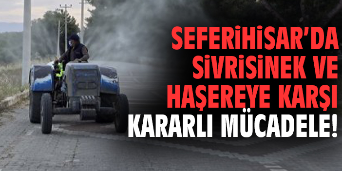 Seferihisar’da sivrisinek ve haşereye karşı kararlı mücadele!