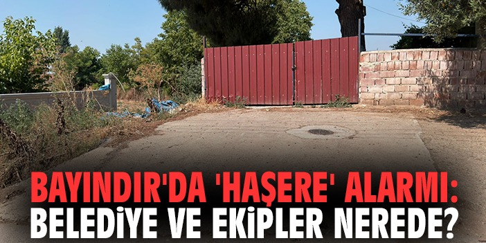 Bayındır’da 'haşere' alarmı: Belediye ve ekipler nerede?