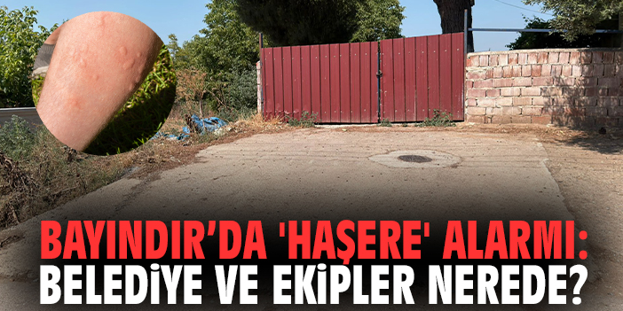 Bayındır’da 'haşere' alarmı: Belediye ve ekipler nerede?
