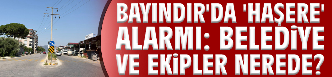 Bayındır’da 'haşere' alarmı: Belediye ve ekipler nerede?