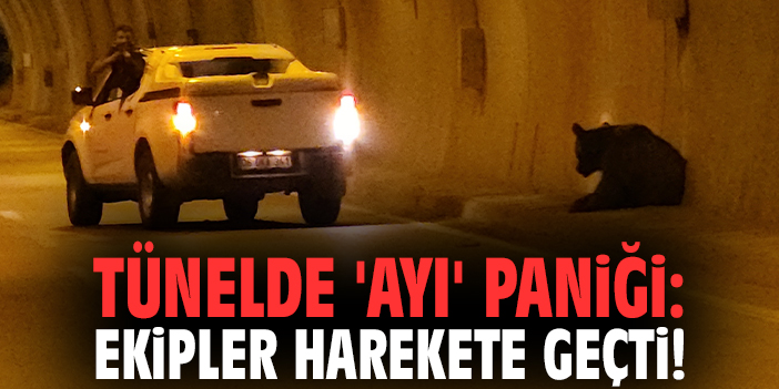 Tünelde 'ayı' paniği: Ekipler harekete geçti!