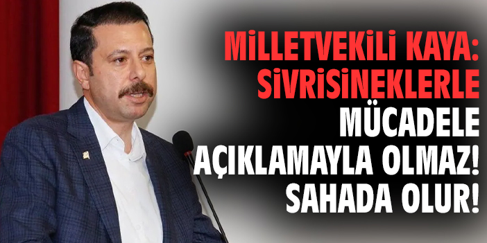 Milletvekili Kaya: Sivrisineklerle mücadele açıklamayla olmaz! Sahada olur!