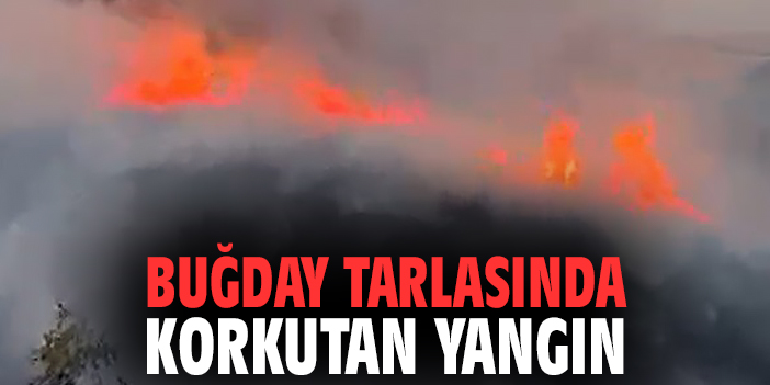 Buğday tarlasında korkutan yangın