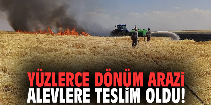 Yüzlerce dönüm arazi alevlere teslim oldu!