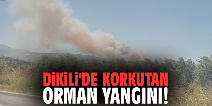 Dikili'de korkutan orman yangını!
