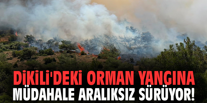 Dikili'deki orman yangına müdahale aralıksız sürüyor!