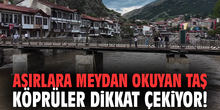 Asırlara meydan okuyan taş köprüler dikkat çekiyor!