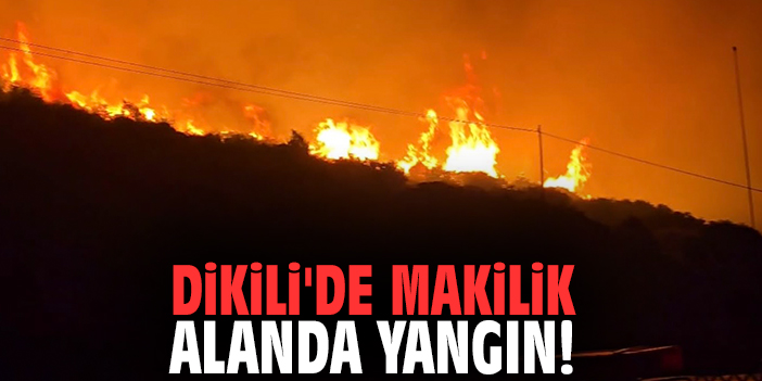 Dikili'de makilik alanda yangın!