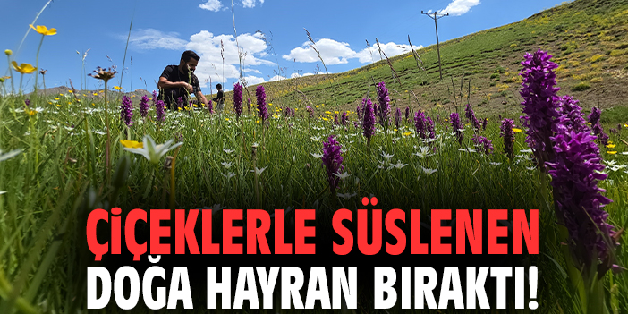 Çiçeklerle süslenen doğa hayran bıraktı!
