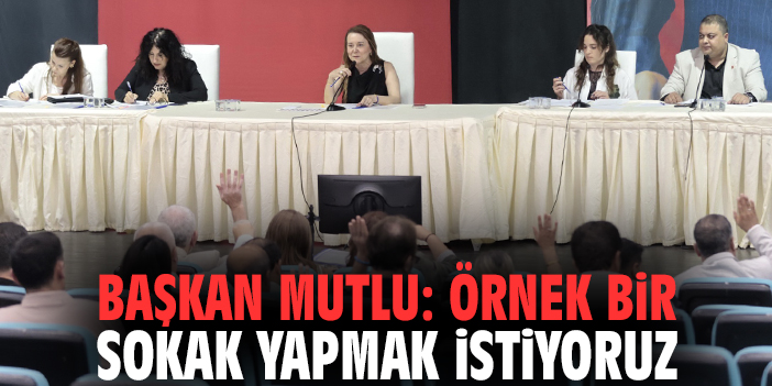 Başkan Mutlu: Örnek bir sokak yapmak istiyoruz