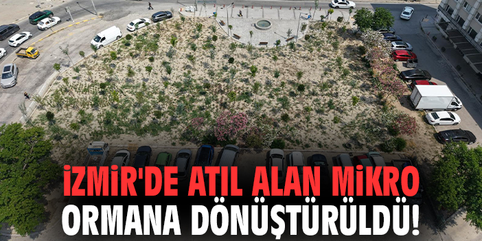İzmir'de atıl alan mikro ormana dönüştürüldü!