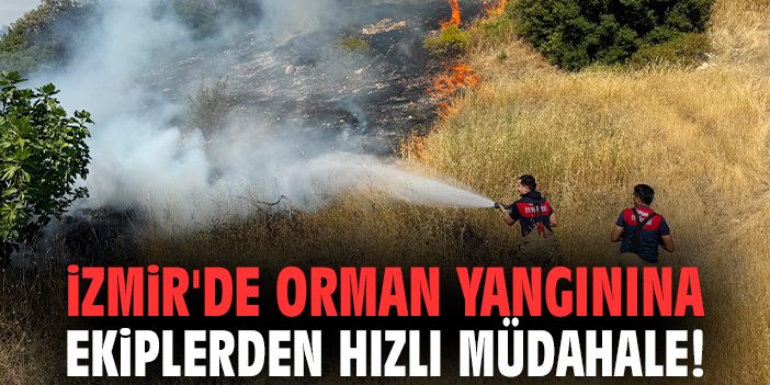 İzmir'de orman yangınına ekiplerden hızlı müdahale!
