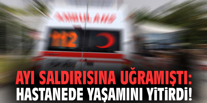 Ayı saldırısına uğramıştı: Hastanede yaşamını yitirdi!