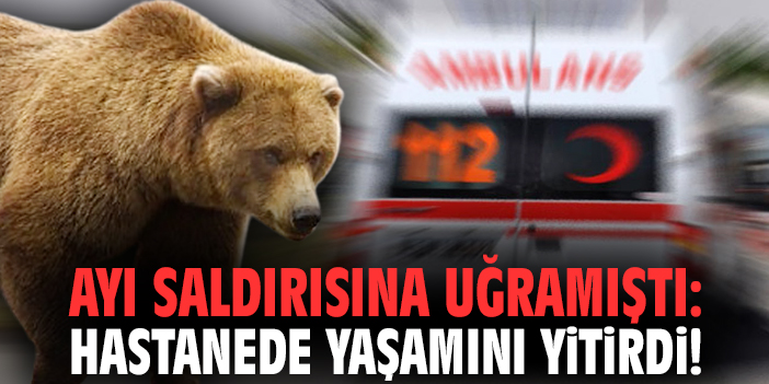Ayı saldırısına uğramıştı: Hastanede yaşamını yitirdi!
