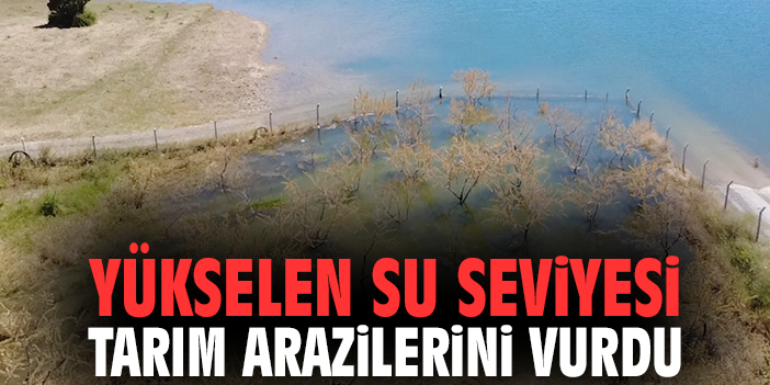 Yükselen su seviyesi tarım arazilerini vurdu