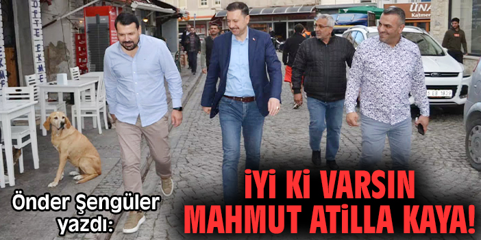 İyi ki varsın Mahmut Atilla Kaya!