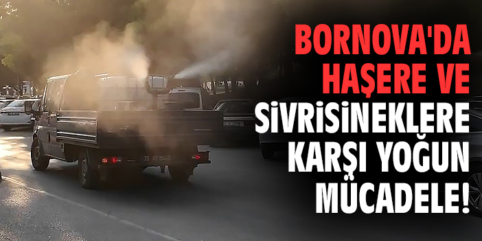 Bornova'da haşere ve sivrisineklere karşı yoğun mücadele!