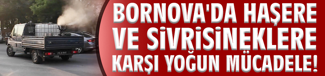 Bornova'da haşere ve sivrisineklere karşı yoğun mücadele!