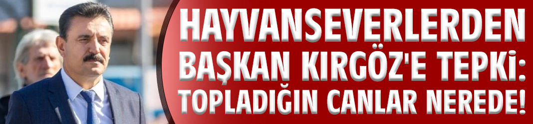 Hayvanseverlerden Başkan Kırgöz'e tepki: Topladığın canlar nerede!