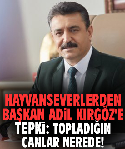Hayvanseverlerden Başkan Kırgöz'e tepki: Topladığın canlar nerede!