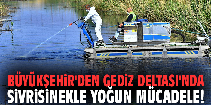 Büyükşehir'den Gediz Deltası'nda sivrisinekle yoğun mücadele!