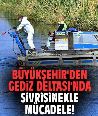 Büyükşehir'den Gediz Deltası'nda sivrisinekle yoğun mücadele!