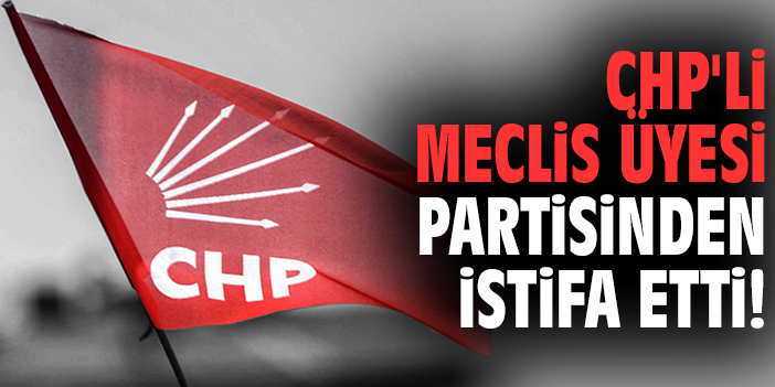 CHP'li Meclis Üyesi partisinden istifa etti!