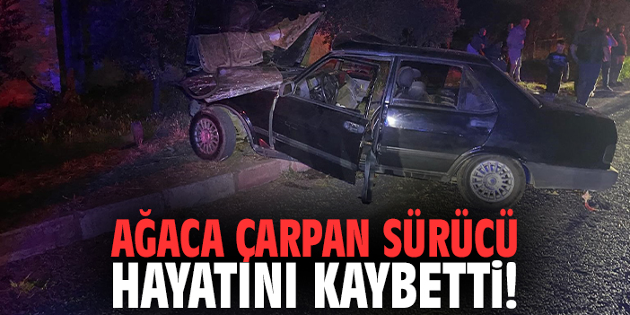 Ağaca çarpan sürücü hayatını kaybetti!