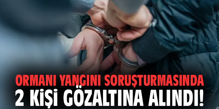 Ormanı yangını soruşturmasında 2 kişi gözaltına alındı!