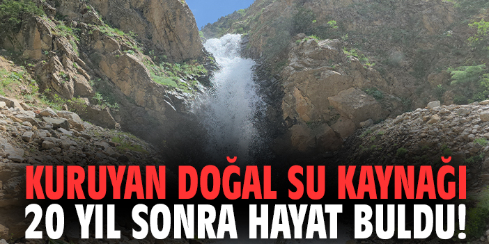 Kuruyan doğal su kaynağı 20 yıl sonra hayat buldu!